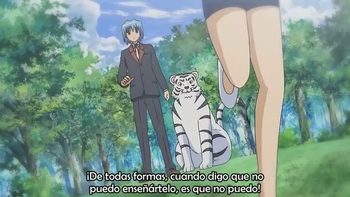 Hayate no Gotoku! Capítulo 20