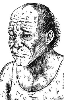 Father Daruma