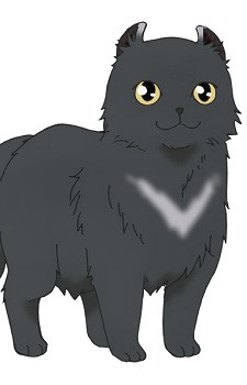 Yozora