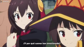 Capítulo 11