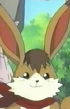 Ham
