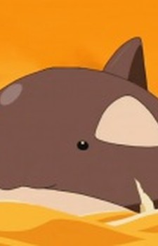 Sashimi
