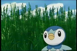Pokemon Diamond Pearl Capítulo 7