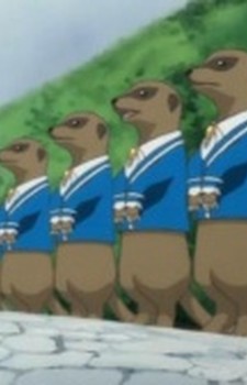 Meerkat Brothers