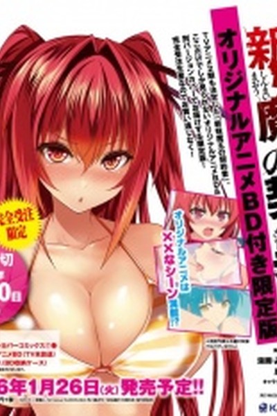 Shinmai Maou no Testament Burst OVA