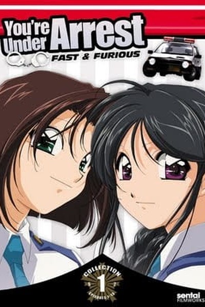 Taiho Shichau zo: Second Season
